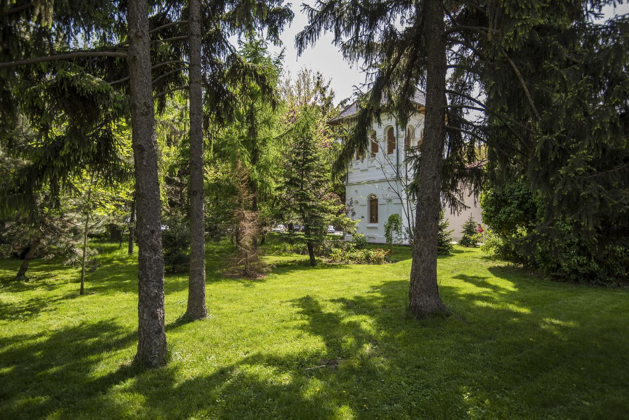 Hotel Belvedere Brăila Exterior foto